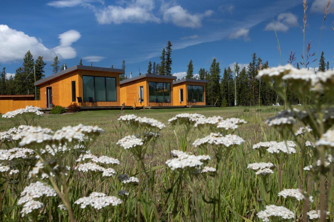 Bed & Breakfast Northern Lights & 4*