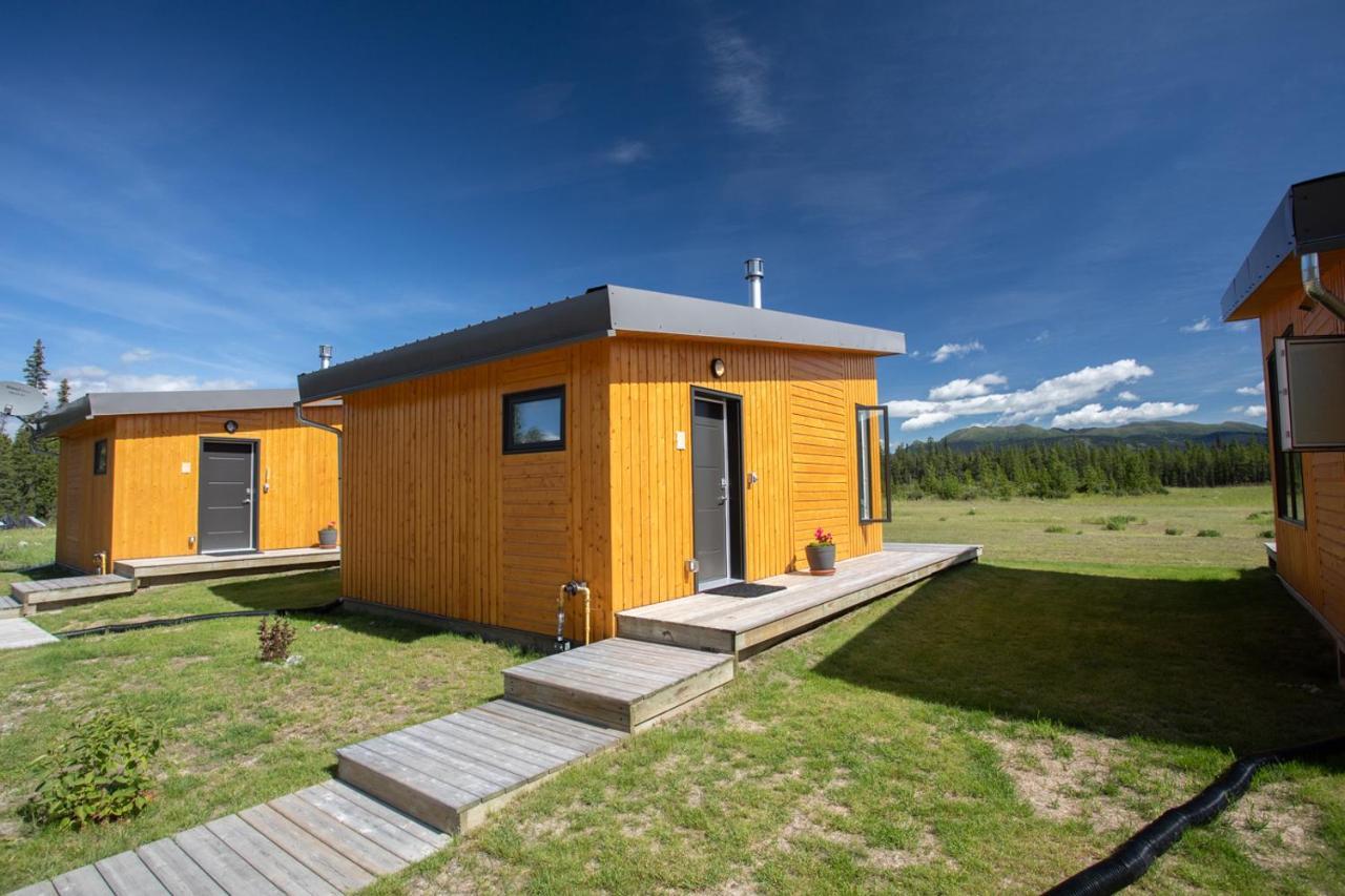 Northern Lights & Bed & Breakfast