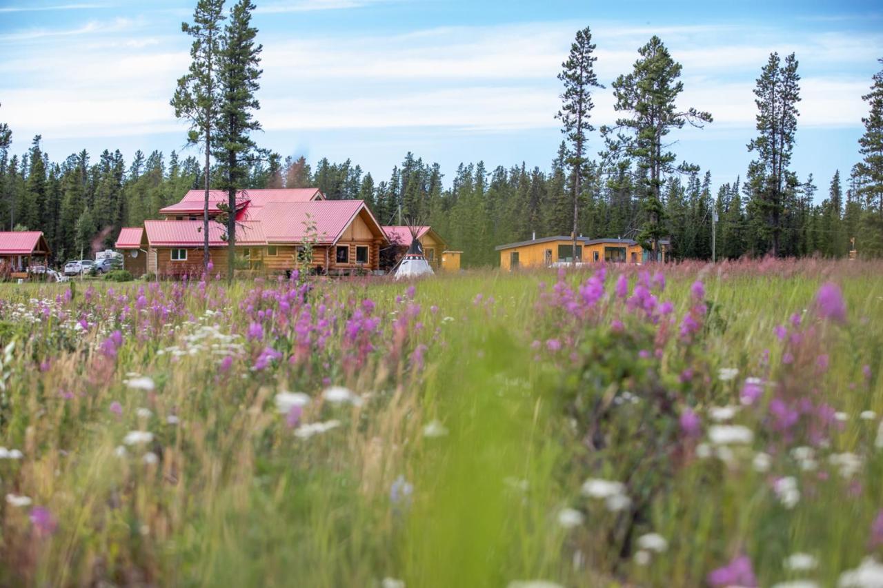 Northern Lights & Bed & Breakfast 4*